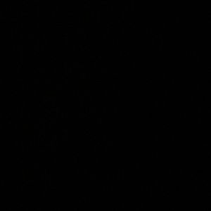 Meet your Posher, Jocelyn